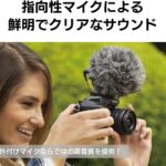 VIDEOMICRO